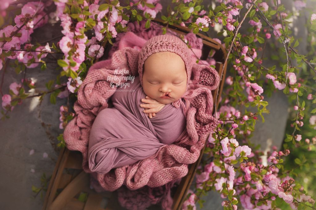 Newborn baby snuggled near rose tree of china bush